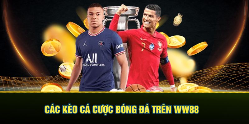 Các kèo cá cược bóng đá trên WW88