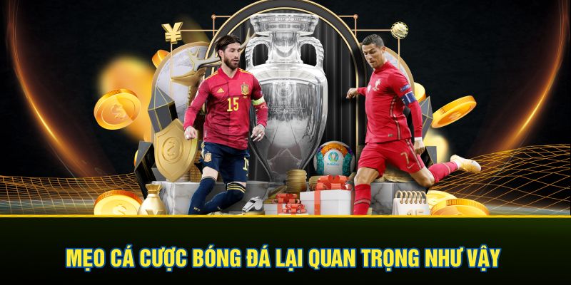 Mẹo cá cược bóng đá lại quan trọng như vậy